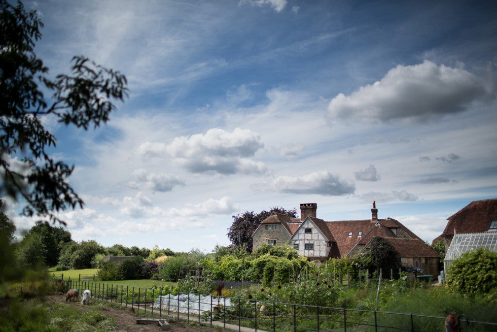 Grittenham Barn Christmas Sale