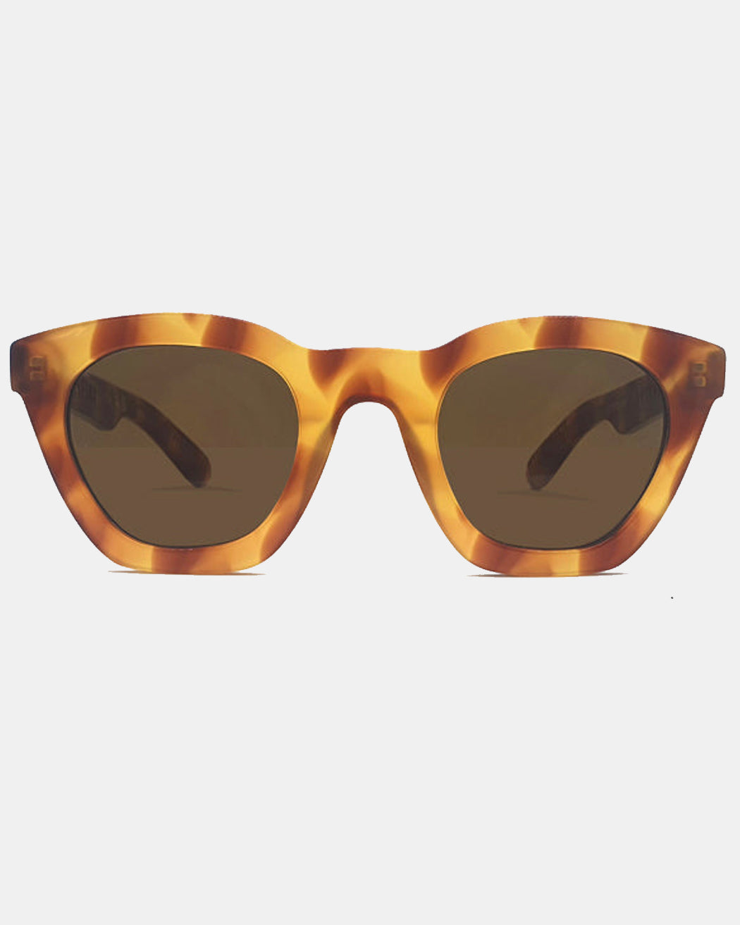 Spitfire Cut 64 Brown/Black Sunglasses